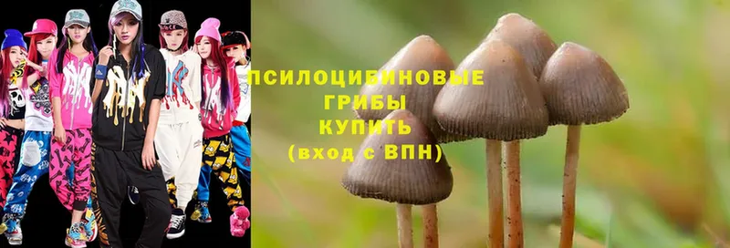 купить  цена  Гаврилов-Ям  Галлюциногенные грибы GOLDEN TEACHER 